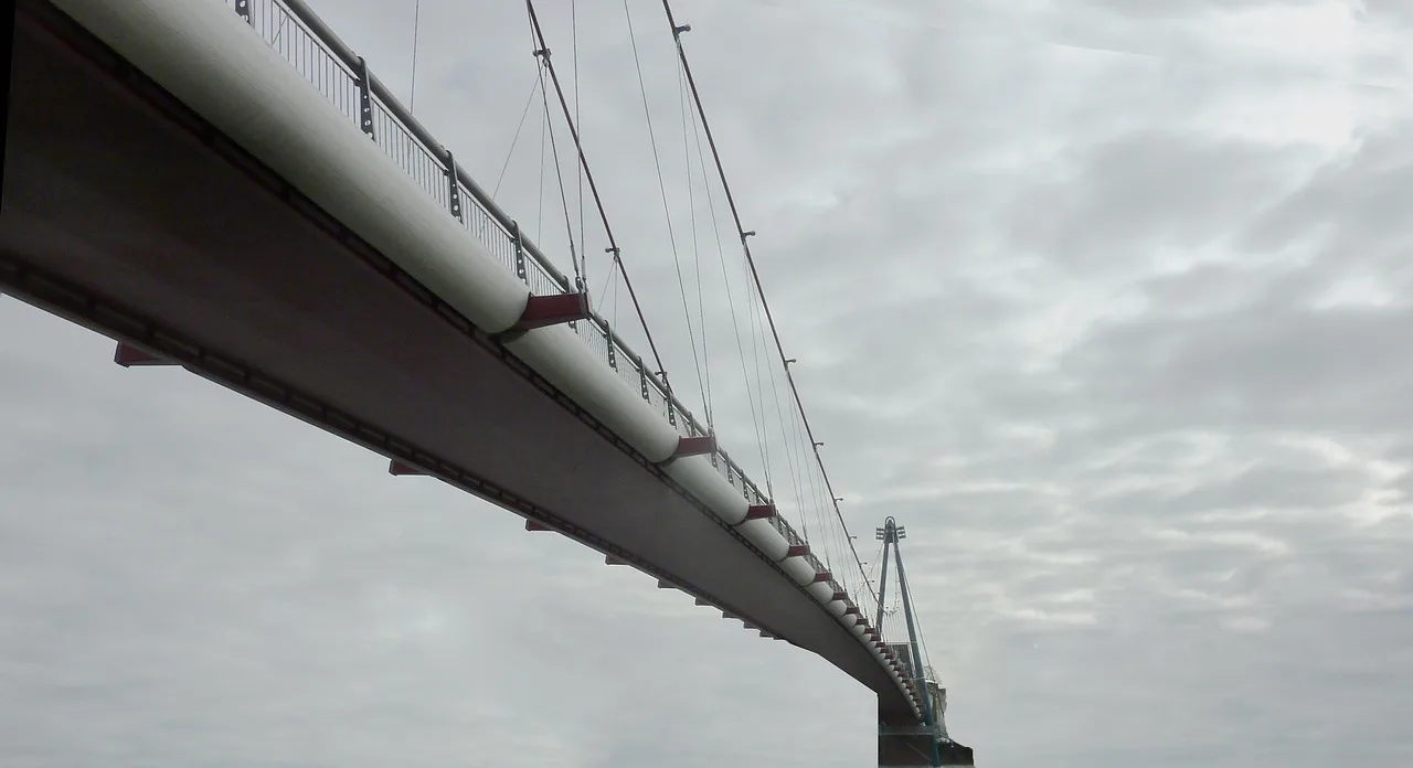 bro, webb, bridge construction, övergången, fotgängare, svartvitt, stålrep, gångbro